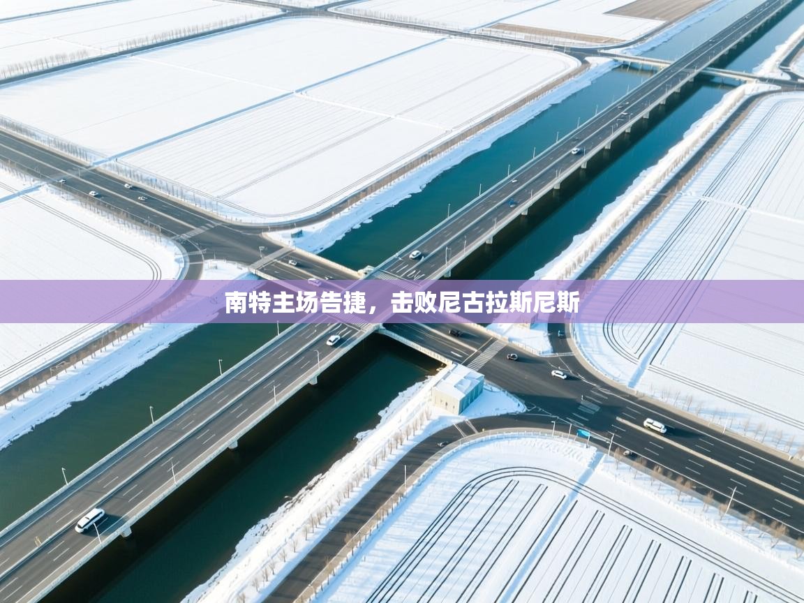 南特主场告捷，击败尼古拉斯尼斯  第1张