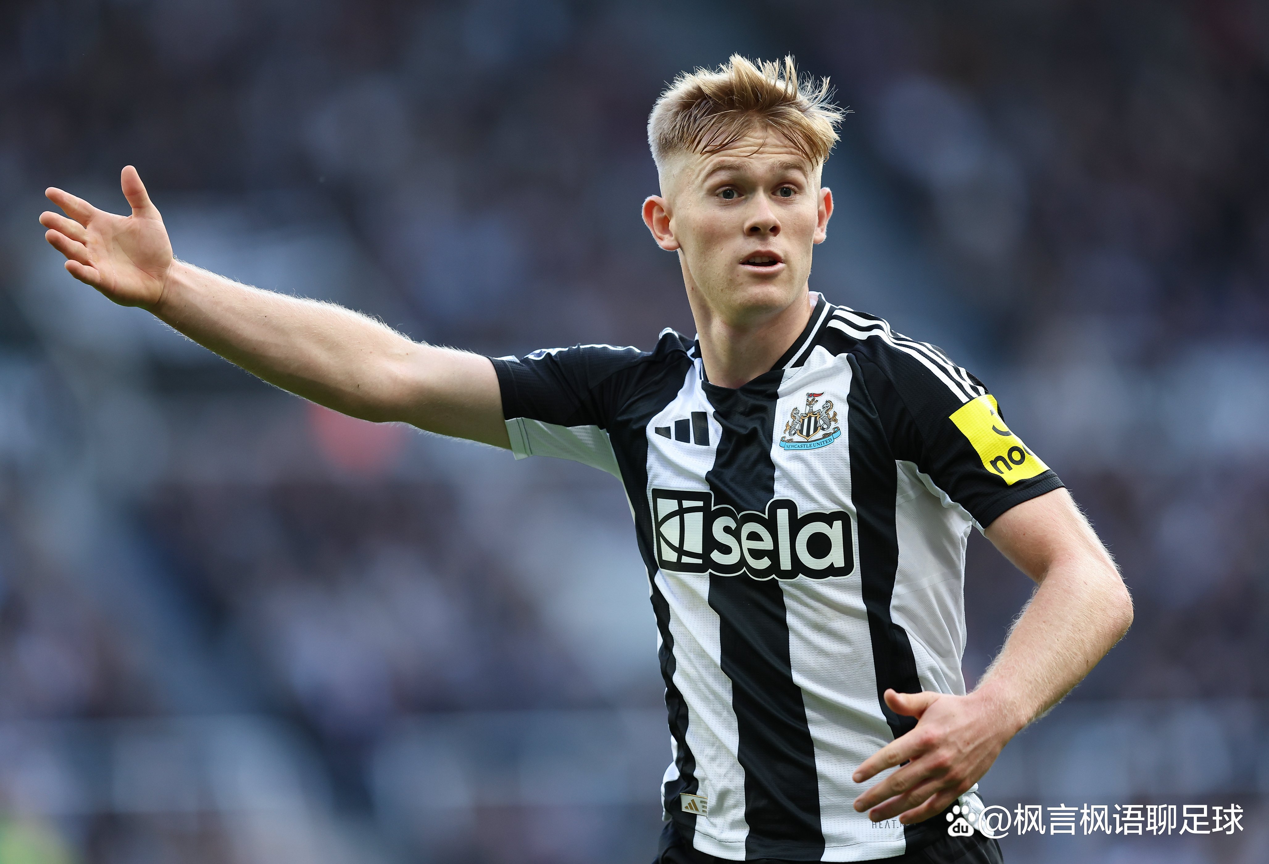 半岛体育在线网站-西汉姆联交易窗口引援顺利，新援展现实力的简单介绍