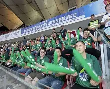 半岛体育官网安全-沃尔夫斯堡实现四连胜，步步为营的简单介绍