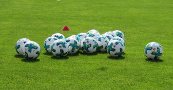 半岛综合体育官方app下载-汉诺威主场战胜奥格斯堡，德甲赛场胜利在握！