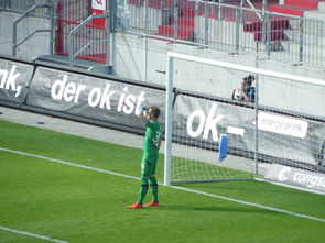 半岛体育app下载-汉堡主场惨遭科隆逆袭，遭遇两连败厄运难挡，汉堡主场叫什么名字